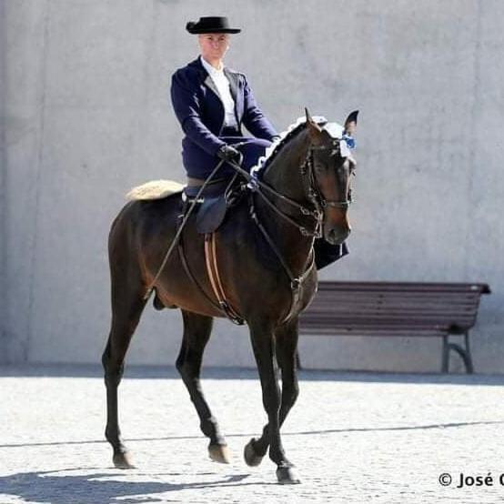 Horse Riding Vila Franca de Xira