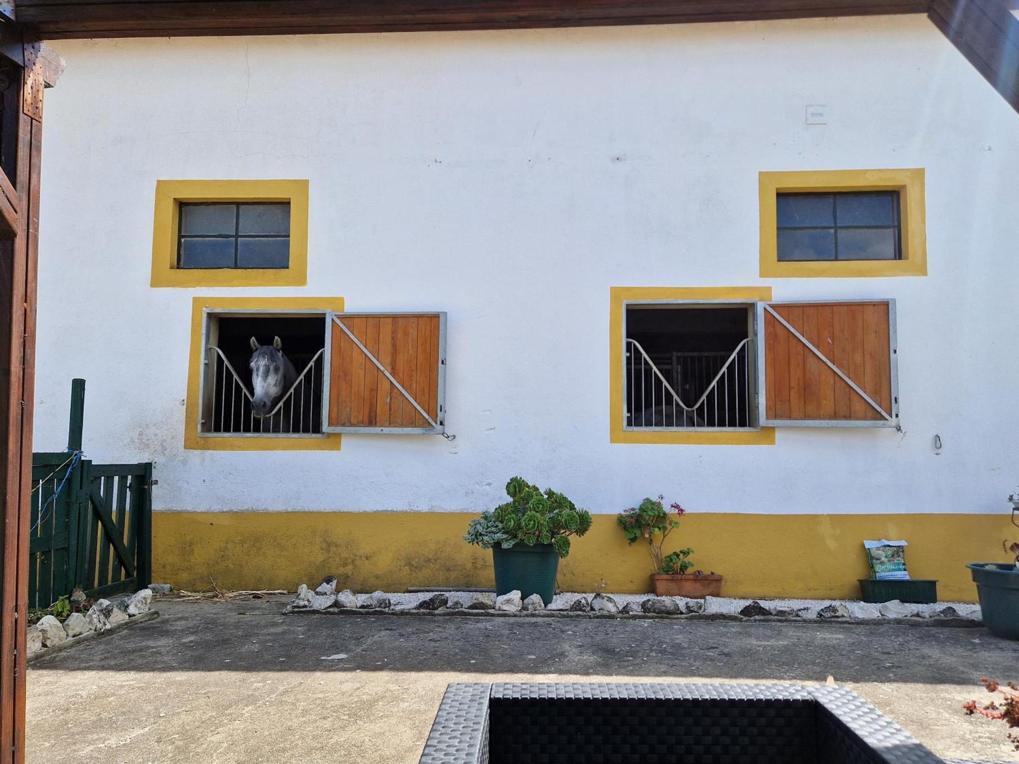 Horse Riding Homestay