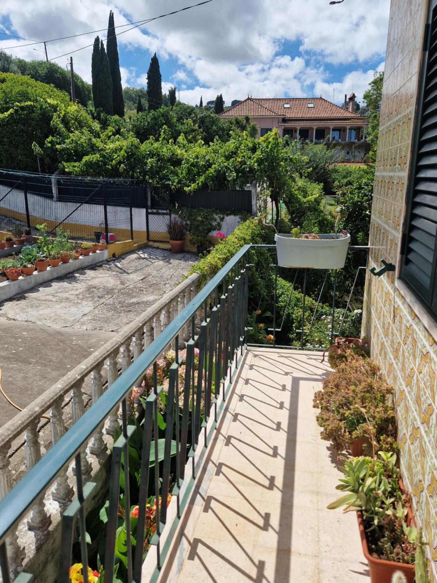 Horse Riding Homestay Vila Franca de Xira